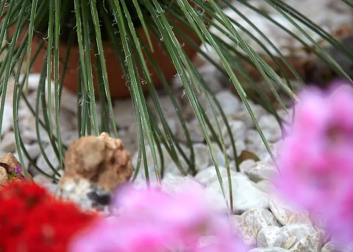 Marietta شقة فندقية 2*