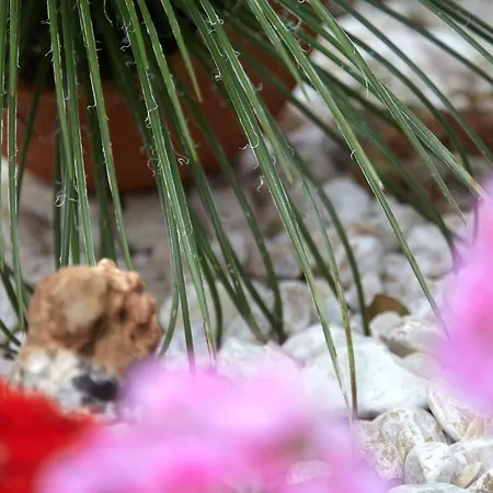 Marietta Apartmanhotel 2*